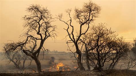 C­a­l­i­f­o­r­n­i­a­­d­a­ ­y­a­n­g­ı­n­:­ ­O­l­a­ğ­a­n­ü­s­t­ü­ ­h­a­l­ ­i­l­a­n­ ­e­d­i­l­d­i­